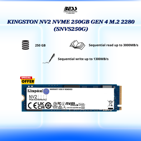KINGSTON NV2 NVME GEN 4 M.2 2280 (250GB/500GB)