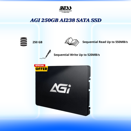 AGI AI238 SATA SSD (250GB/2TB)